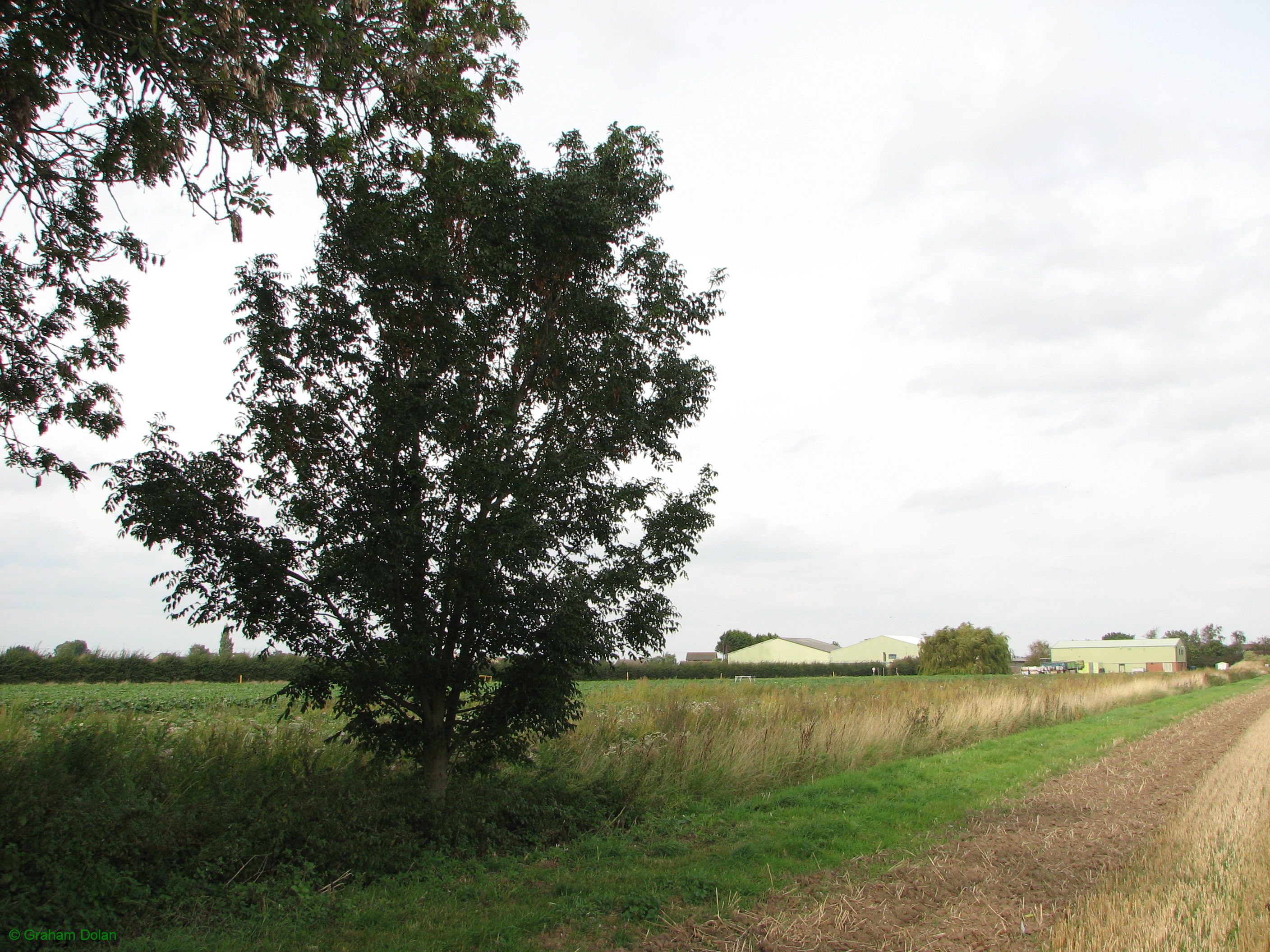 Greenwich Meridian Marker; England; Lincolnshire; Holbeach Clough